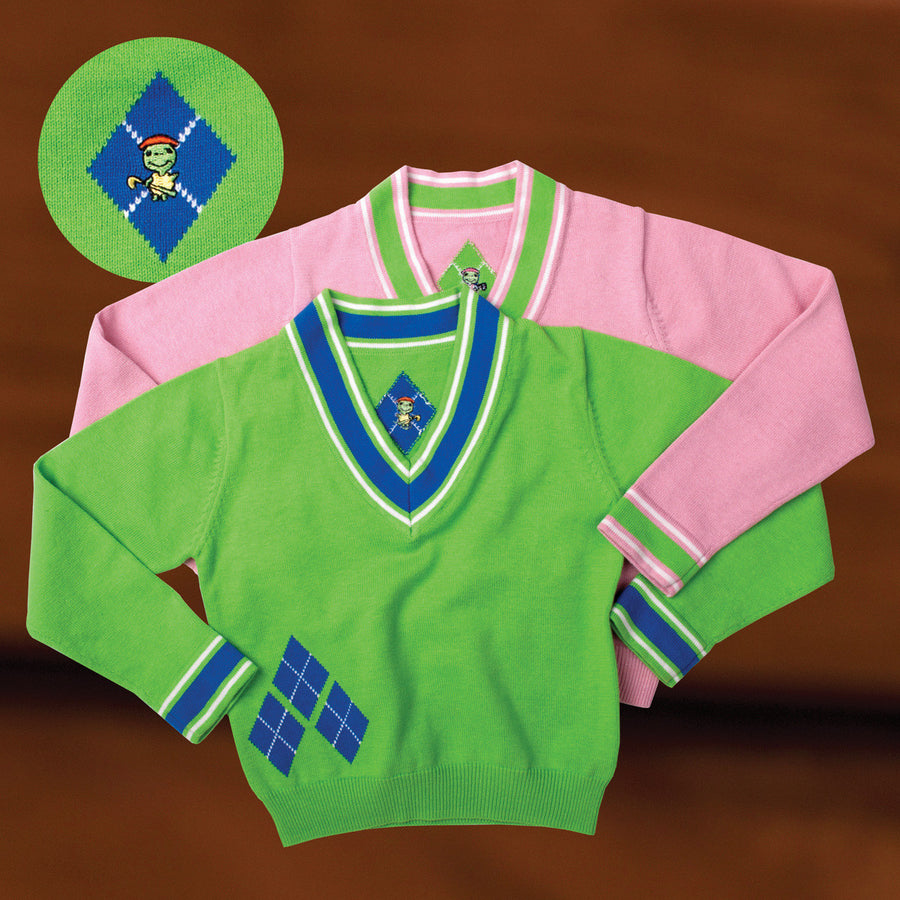 The New School Argyle Sweater (Pink and Green)